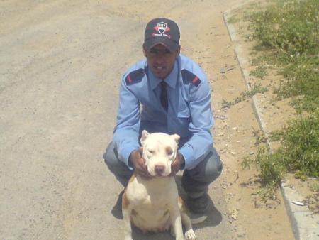 chipya et le metre chien